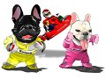 猪突猛進・フレブル小太郎&こつぶ