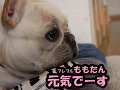 �t���u���@��������@���C�Ł[��