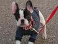 ���グ�ނ��グ�� �������̂��肫��