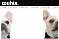 Buhix
